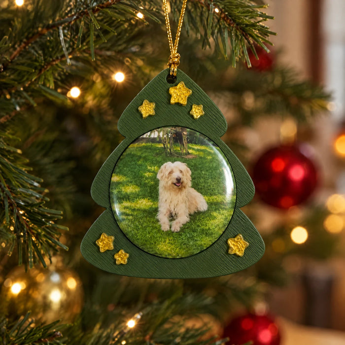 Enfeite de Natal com foto de cachorro pendurado numa árvore de Natal